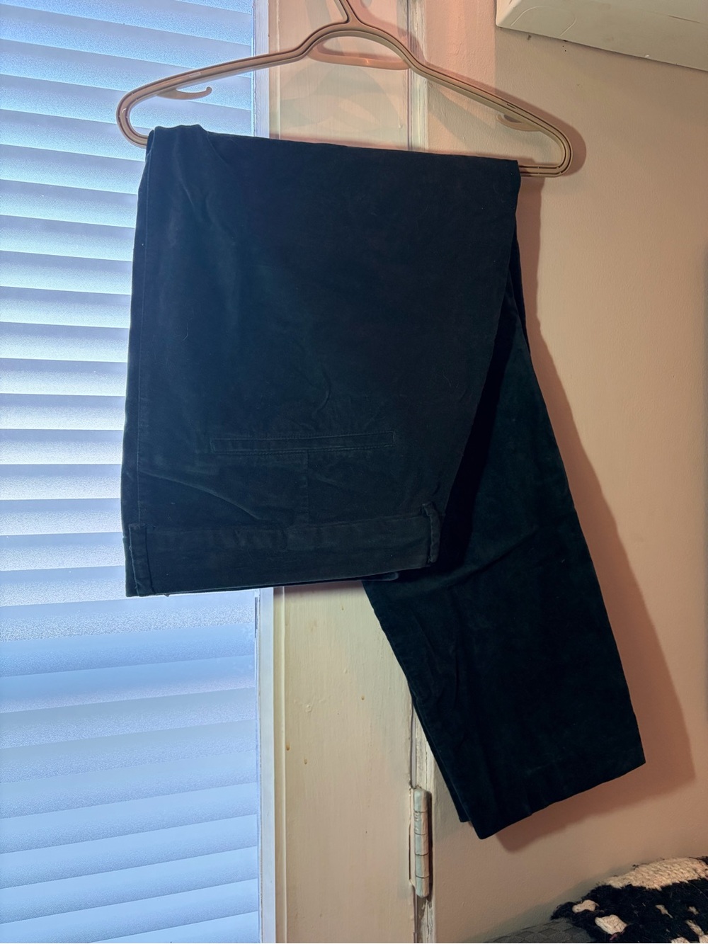 Dark teal velour skinny pixie pants M6
